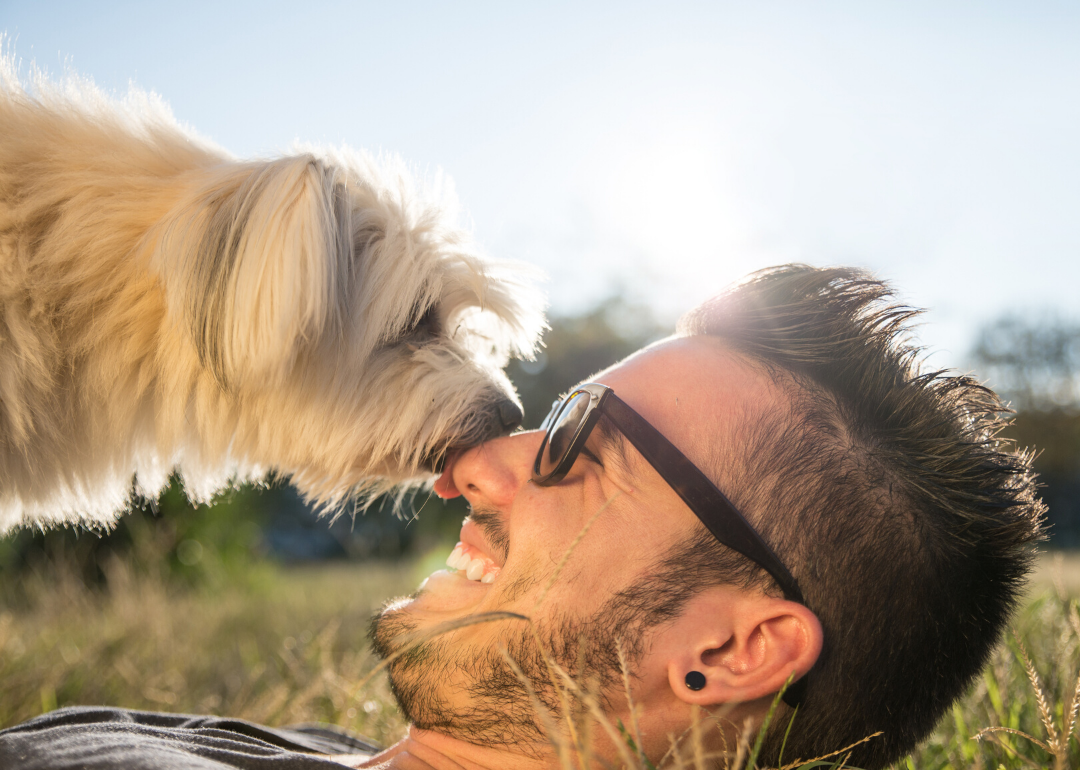 Your relationship with your dog is not about dominance